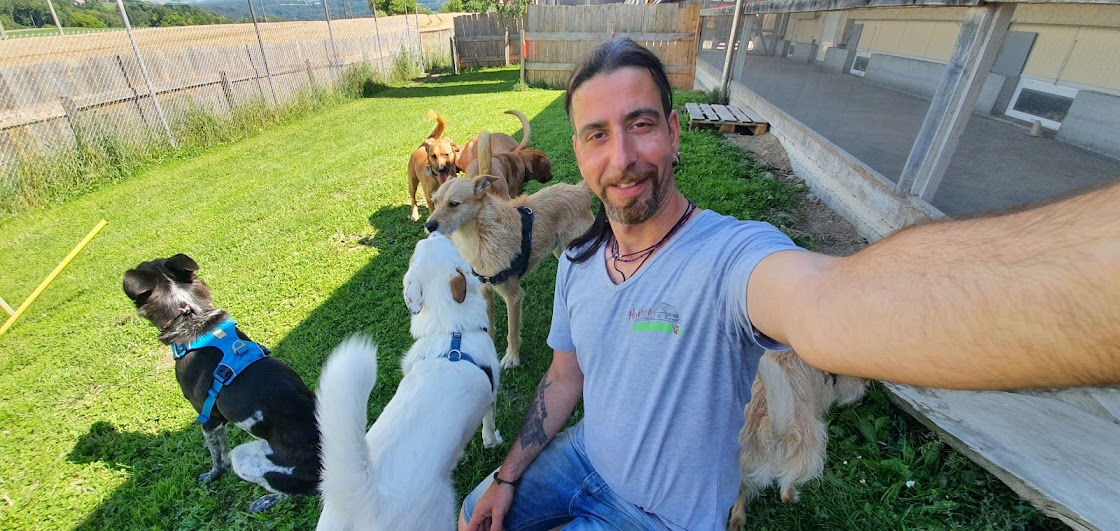 Philipp sitzt mit mehreren Hunden draussen im Grünen